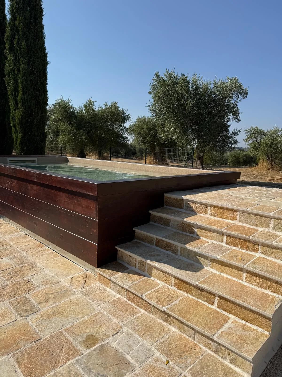 Piscina di giorno con vista sull'uliveto