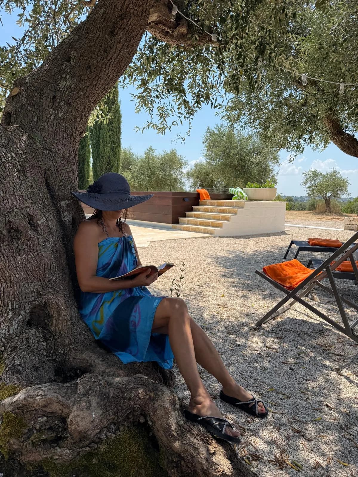 Momento di lettura all'ombra di un ulivo secolare